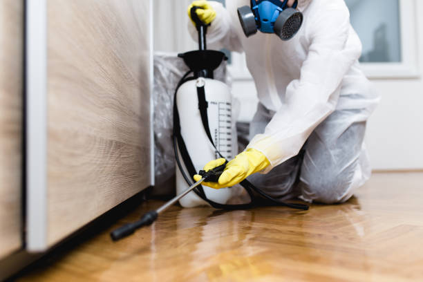 Best Wasp Removal Services  in Las Flores, CA