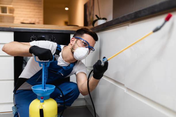 Best Commercial Pest Control Services  in Las Flores, CA