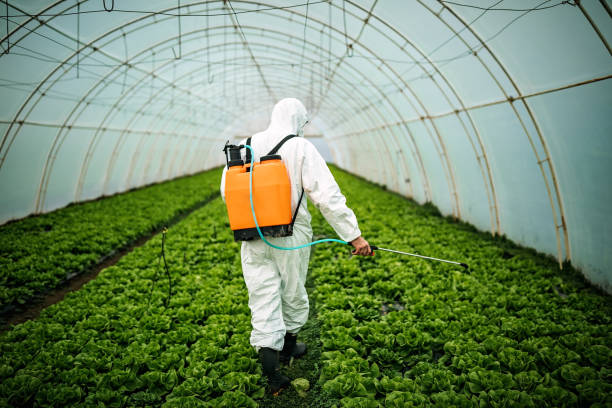 Best Affordable Pest Control Services  in Las Flores, CA
