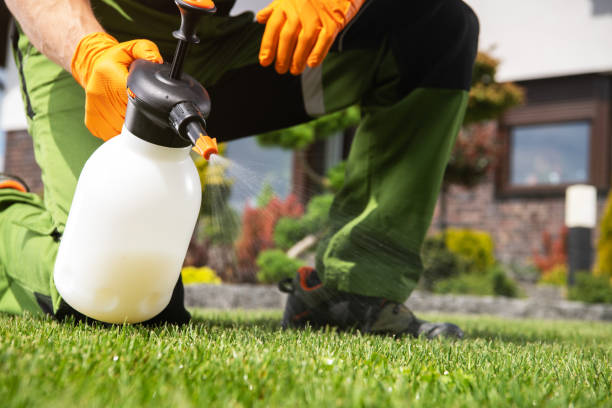 Best Pest Prevention Services  in Las Flores, CA