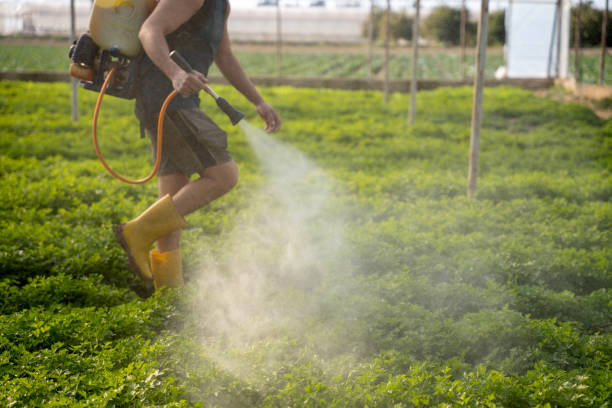 Best Best Pest Control Companies  in Las Flores, CA