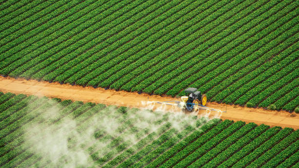 Best Pest Prevention Services  in Las Flores, CA