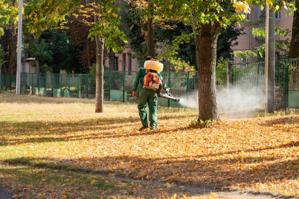 Best Rodent Control Near Me  in Las Flores, CA