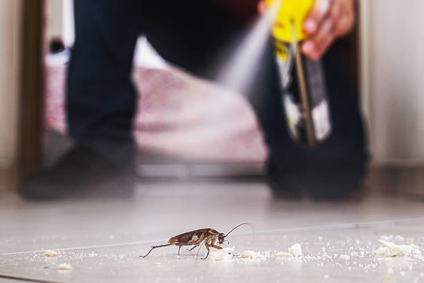 Best Cockroach Control Services  in Las Flores, CA