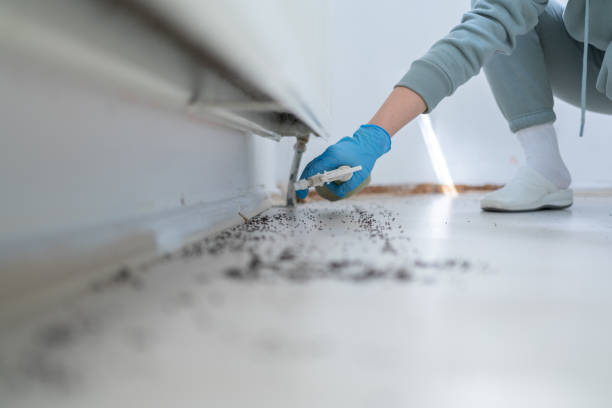 Best Best Pest Control Companies  in Las Flores, CA