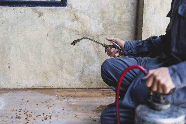 Pest Prevention Services in Las Flores, CA