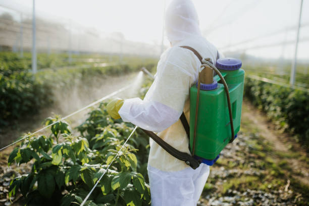 Best Flea Control Services  in Las Flores, CA